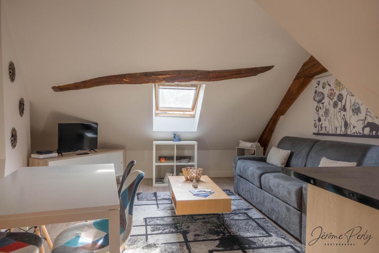 Orleans Centre T2 Theatre Et Cathedrale Apartment Luaran gambar